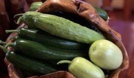 网红大瓜在哪找,揭秘热门事件背后的秘密聚集地