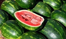 今日吃瓜的图片素材,揭秘娱乐圈最新热点事件